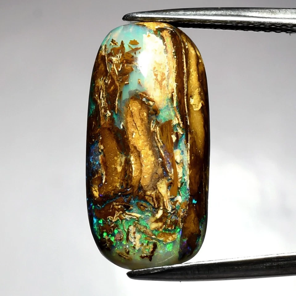 💎 8.83 克拉椭圆形天然蛋白石木材化石巨石蛋白石 - 昆士兰,宝石 — 第 1/4 张图片