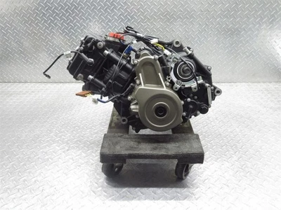 Motor Husqvarna Vitpilen 401 2024 24-25 probado funciona ¡Garantía 648 millas! Foto 1 de 4