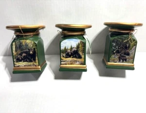 Juego de 3 Candelabros Natures Encounters 5.5" Oso Verde Doble Cara - Imagen 1 de 4
