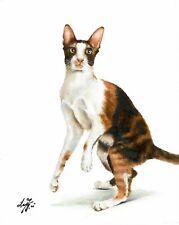@ Original Oil Portrait Painting Oriental Shorthair Cat Artist Signed Artwork