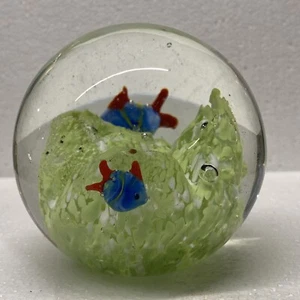 Art Glas runder klarer Briefbeschwerer - 2 blaue Fische auf hellgrünem Riff - Bild 1 von 5