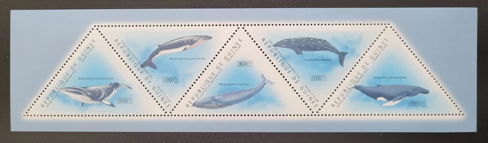 Гвинея 2011 / Морская жизнь - киты / 5v ms - Изображение 1 из 1