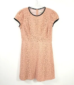 Vestido Ann Taylor Loft Talla 6 Mujer Beige Encaje Mangas Cortas Hasta la Rodilla Línea A - Imagen 1 de 13