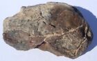 67.17 Grams Nwa Xxxx Unclassified Meteorite Found 1990'S In Northwest Africa