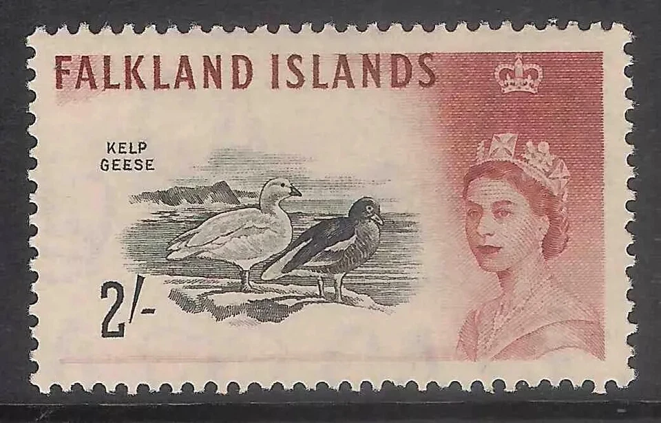 Islas Malvinas 1960 sg204 2s 2/- algas marinas gansos aves MNH B099 Foto 1 de 1