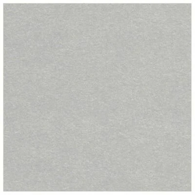 Cartoncino Dust Argento metallizzato - Immagine 1 di 2