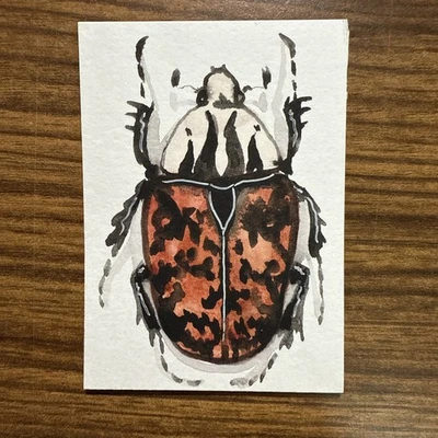 Pintura Acuarela Escarabajo Goliat Aceo ÚNICA Original Firmada por el Artista Foto 1 de 3