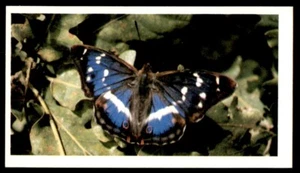 Grandee British Butterflies 1983 - Purple Emperor No. 13 - Picture 1 of 2