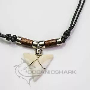 Bull Shark Carcharinus leucas tooth sale c206 - Picture 1 of 2