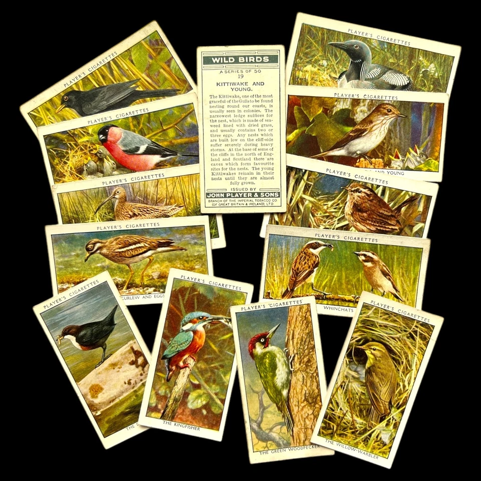 John Player Cigarette Cards WILD BIRDS 1932 - Pick your Card/s - Image 1 of 1