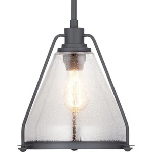 Progress Lighting P500135-143 Range - Pendants Light - 1 Light in Coastal style - Picture 1 of 4