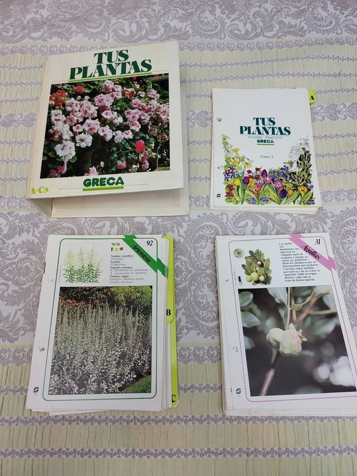 COLECCIONABLE TUS PLANTAS GRECA SARPE FICHEROS PRACTICOS IDIOMA CASTELL ANO 1985 - Imagen 1 de 4