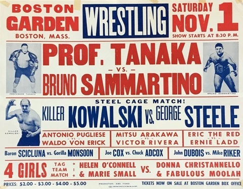 PROF. TANAKA vs BRUNO SAMMARTINO 8X10 POSTER PHOTO WRESTLING PICTURE WWF Cover