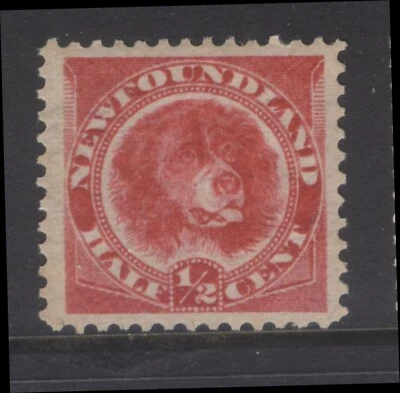 NEWFOUNDLAND 56 1/2c ROSE RED DOG 1887 BABNC MONTREAL PRINTING MPH (#10) CV$45  - Image 1 of 2