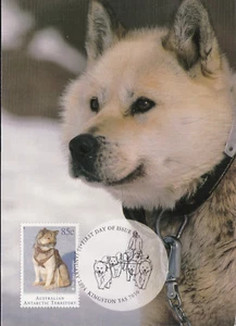 1994 AAT Australian Antarctic Territory Huskies Husky Dog Postcard Maxicard FDC - Picture 1 of 1