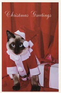 Christmas Greetings Siamese Kitty Cat Happy New Years Santa 1981 Postcard - Picture 1 of 2
