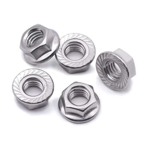 5/16"-18 Serrated Flange Hex Nuts Stainless Steel 18-8 Coarse Full Thread 10 LOT - Picture 1 of 2