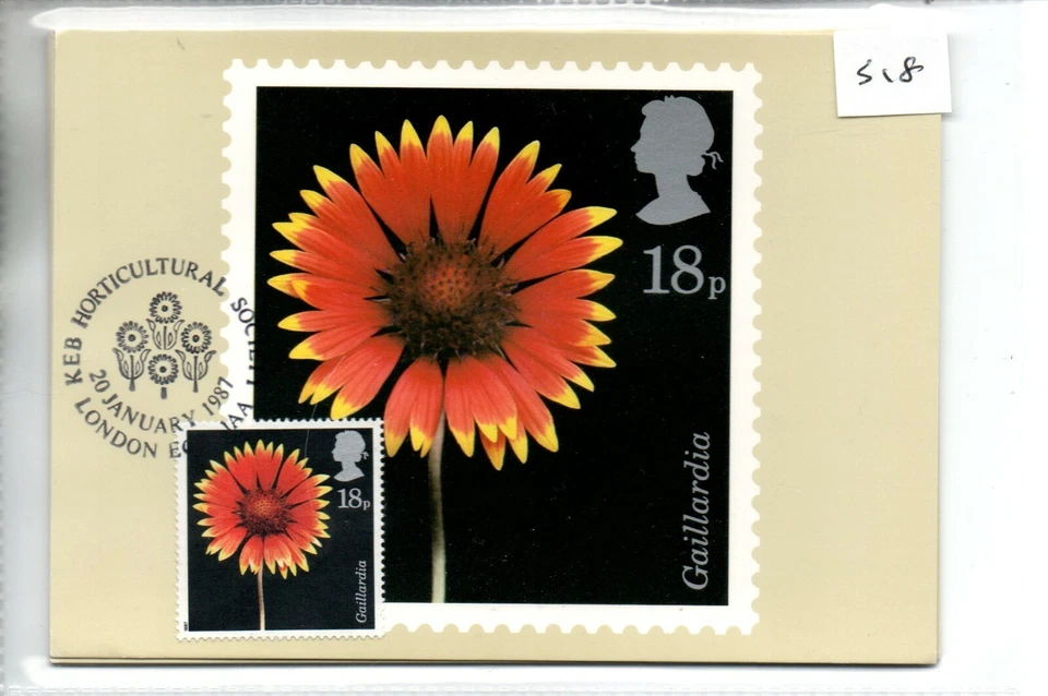 GB - Tarjeta PHQ (518) 1987 - Fotografía de flores - Frontal - FDI/SHS - comp. set Foto 1 de 1