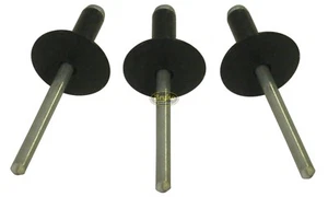 Large Head Flat Black Rivets Pop Rivet 250ct 3/16" Racing Fasteners IMCA USMTS - Picture 1 of 7