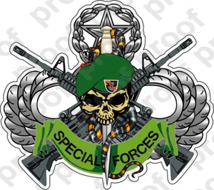 STICKER U S ARMY FLASH 5TH SPECIAL FORCES GROUP SKULL LOGO - Picture 1 of 1