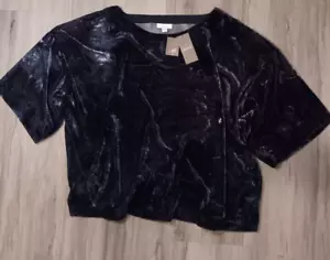 J Jill Velvet Womens Short Sleeve Blue Blouse Boxy Shirt NWT XL Petite - Picture 1 of 7