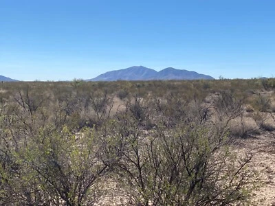 180 acres en venta en Sierra Blanca, TX Foto 1 de 4