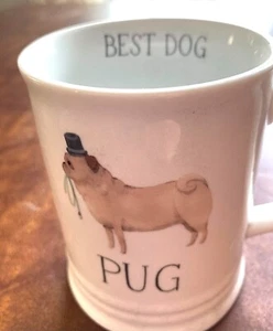 Pug TAZA TAZA Mejor Perro Pug Sombrero Sosteniendo Su Correa Listo para Pasear - Imagen 1 de 3
