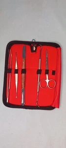 KIT DE BLANQUEAMIENTO DENTAL DENTAL 5P DIENTE DE DENTISTA - Imagen 1 de 2