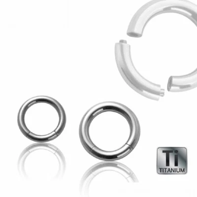 Piercing Titan Segmentring Bauch Ohr Nase Lippe Universal Silber Brust Ring - Bild 1 von 4