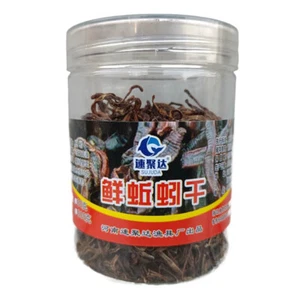 Fishing Bait Earthworm Bait Dry Earthworms Fishing Lure Carp Fishing Accessories - Picture 1 of 8