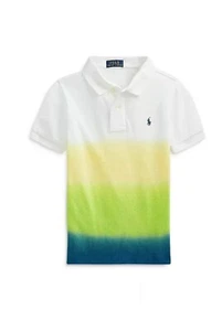 Polo Ralph Lauren Boys' Ombre Polo Shirt - Little Kid - Picture 1 of 5