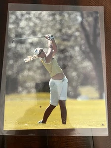 Carin Koch - LPGA 8" x 10" Photo Picture - Picture 1 of 1