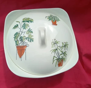 Midwinter PLANT LIFE. Covered Vegetable Dish - Picture 1 of 6