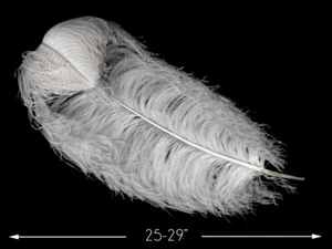 2 Piezas - 25-29" Blanco X-Grande Avestruz Pluma Centro Pieza Plumas Carnaval - Imagen 1 de 11