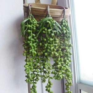 1/2/3 Bunches Artificial Plants Set Plastic Pearl Bead Hangings Vines Succulents - Picture 1 of 16