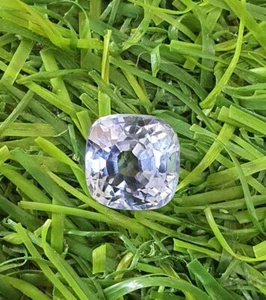 3.96 Ct Flawless Cushion Cut Ceylon Cornflower Lab Grown Blue Sapphire Loose 8MM - Picture 1 of 8