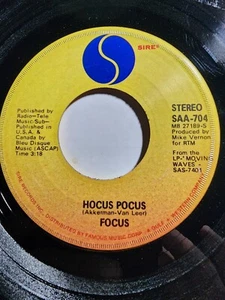 Focus - Hocus Pocus/Hocus Pocus 2, Sire VG+ F333 - Picture 1 of 2