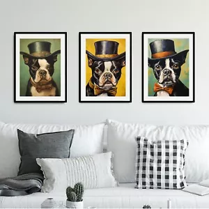 BOSTON TERRIER - SET OF ALL 3 POSTER ART PRINTS PICTURE WALL HOME GIFT PET DOG - Picture 1 of 11