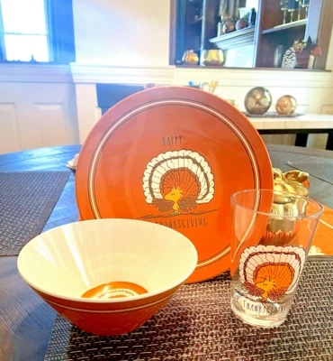 Disney Snoopy Pottery Barn plate cup Bowl UTENSIL Peanuts Party Disney SET 16 , - Image 1 of 4