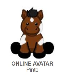 Webkinz Classic Pinto *Code Only* - Picture 1 of 3