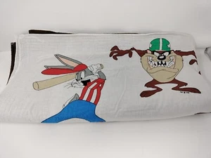 Handmade Looney Tunes Taz Tweety Throw Baby Blanket 90s Warner Brothers 45"x42" - Picture 1 of 11