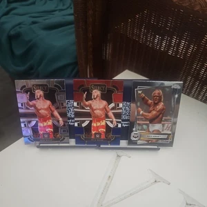 2024 Panini WWE Hulk Hogan Bundle Inc Red White & Blue Select Prizm 3 Cards NM - Picture 1 of 4