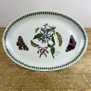 "Plato ovalado vintage Portmeirion jardín botánico sombra de noche leñosa 13" x 9,25""" - Imagen 1 de 5