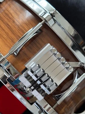 snare drum black swamp percussion orchestra dynamic sound instrument drummer  - Image 1 of 4