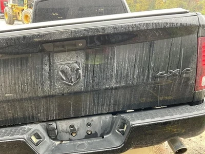 Emblema de cabeza de Ram de maletero/portón trasero para camioneta Dodge 1500 12-17 5230149 Foto 1 de 4