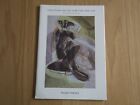 Etching Revival In Britain 1850 1950 Wolseley Fine Arts Palmer Holloway 2002