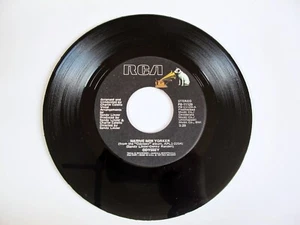 Odyssey : Native New Yorker 1977 Pop 45 RPM 7" Vinyl Record PB-11129 (VG) - Picture 1 of 8