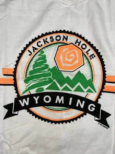 Vintage Tank Top Jackson Hole Wyoming 90s Streetwear Made In USA Large Hipster - Picture 1 of 8