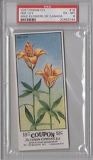 1920 Cowan Co. V20 Wild Flowers of Canada #18 Red Lily Graded PSA 6