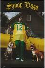 SNOOP DOGG Film POSTER 27x40 Snoop Dogg